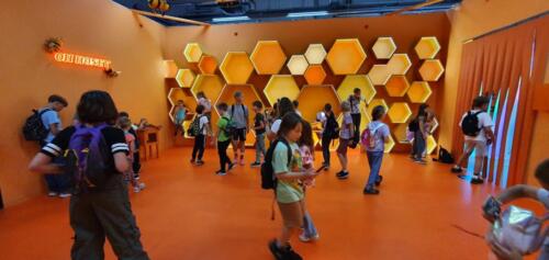 518276962_1132377812054636_7095611658963407995_n