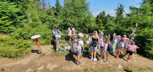 522431722_1138878088071275_7644181468560567979_n